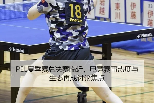 PEL夏季赛总决赛临近，电竞赛事热度与生态再成讨论焦点